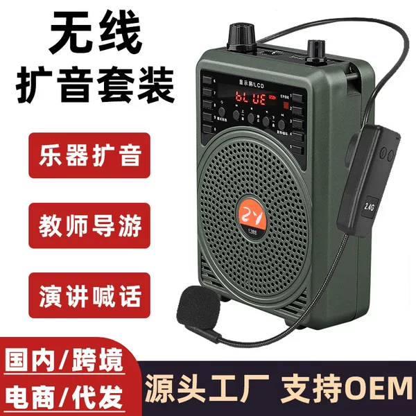 Cross-Border Wireless Little Bee Loudspeaker Tour Guide Teacher Head-Mounted Microphone Musical Instrument Pickup Microphone Bluetooth Audio
