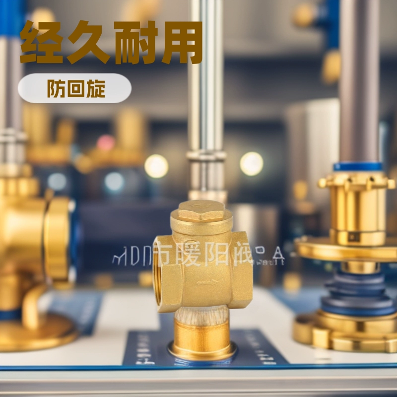 Yuhuan горизонтальный латунный обратный клапан утолщенный обратный клапан с защитой от обратного потока Обратный клапан PPR