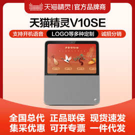 天.猫精灵V10se智慧屏智能音箱平板语音学习机儿童早教老人小电视