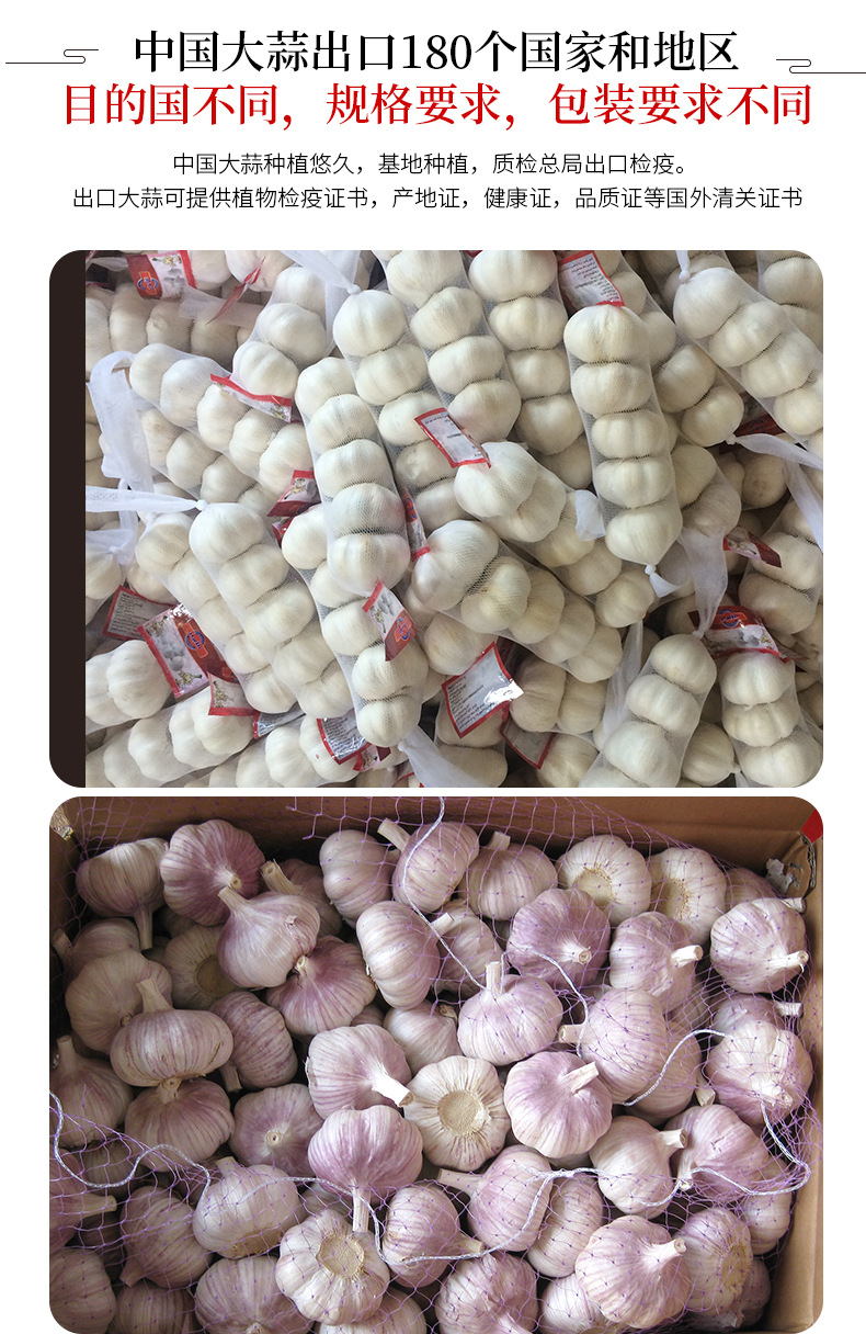 大蒜详情页_07.jpg