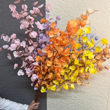 ���澀�l���c��ˇ�����m���ٻ���Y�û�c�Ƶ��b�������