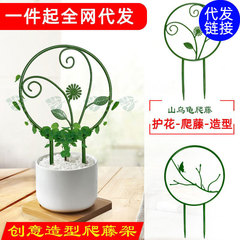山のカメの緑は丸い花の棚の鉄線の蓮を植えて藤の棚に登ります。