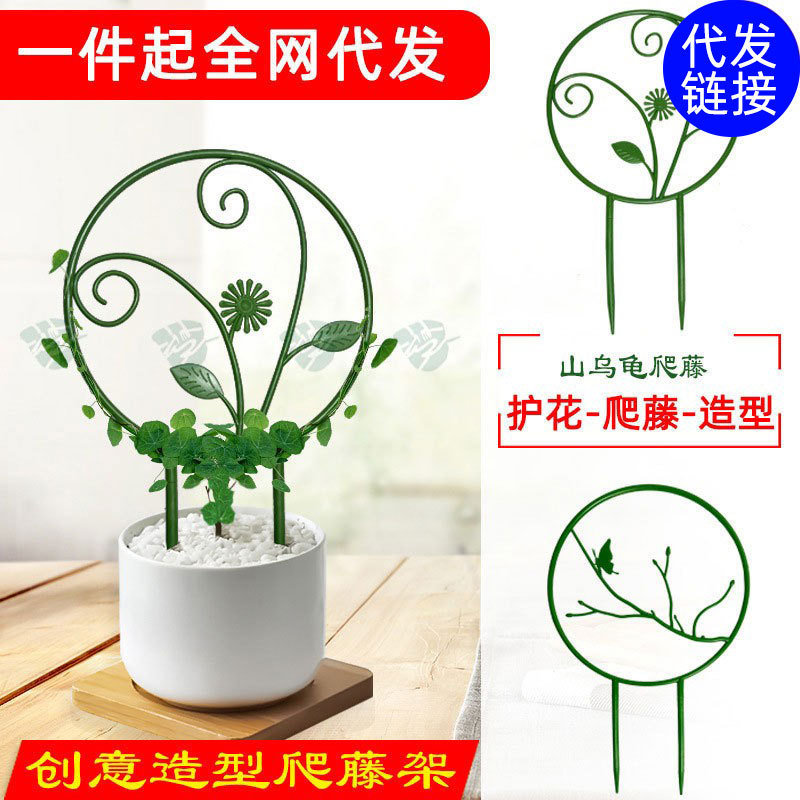 山のカメの緑は丸い花の棚の鉄線の蓮を植えて藤の棚に登ります。|undefined