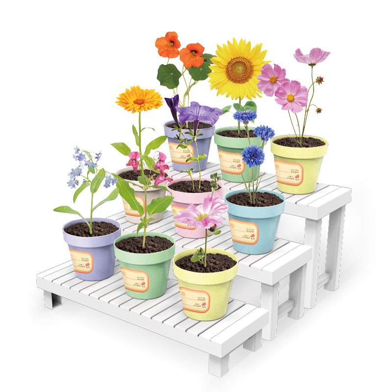 Planta de mesa para niños mini plantas verdes creativas pequeñas plantas de fresa girasol al por mayor