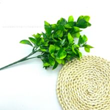 ����ֲ���c�b���řڷ��������~�Gֲ����ˮ�����Բ廨���