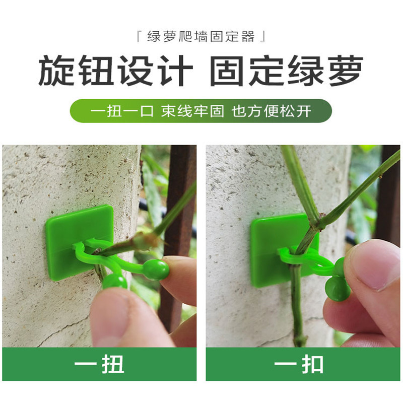 绿萝爬墙上花器绿植固定器绿箩家用无痕卡扣绿枝爬藤杆夹子室内|undefined