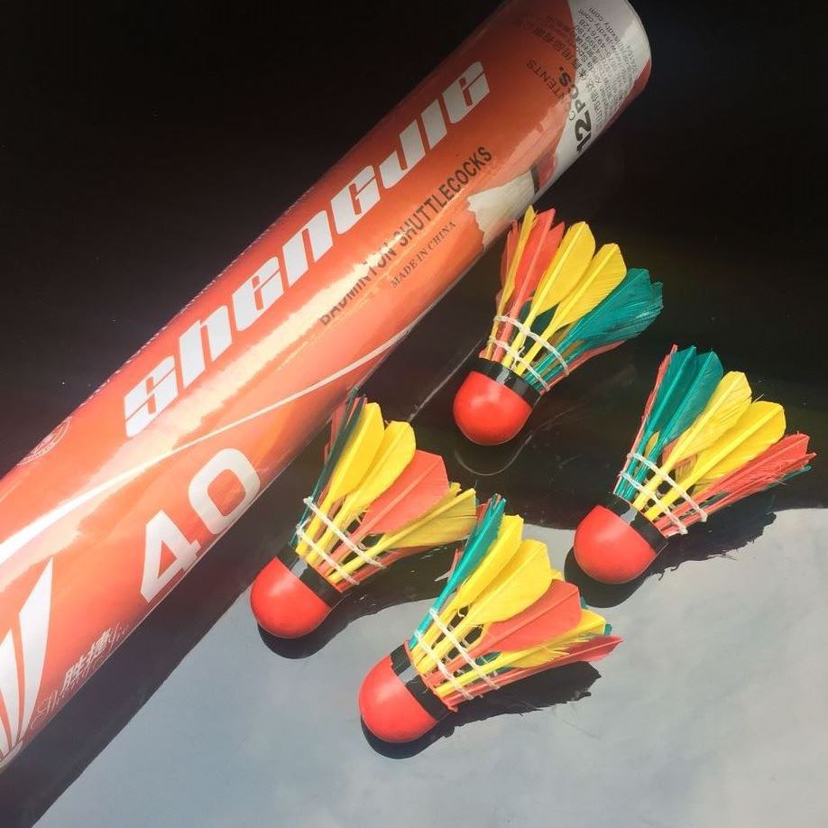 Wind-Resistant Outdoor Badminton Colorful Rubber Leather Head, Resistant to Heavy Balls, Colorfulful Goose Feathers, Thickeneded 10 Pieces