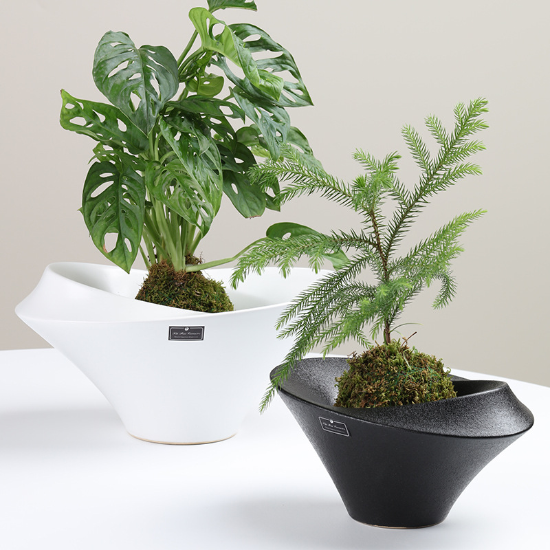 北欧简约陶瓷花盆高级感创意不规则绿萝植物盆苔藓球专用水培花盆
