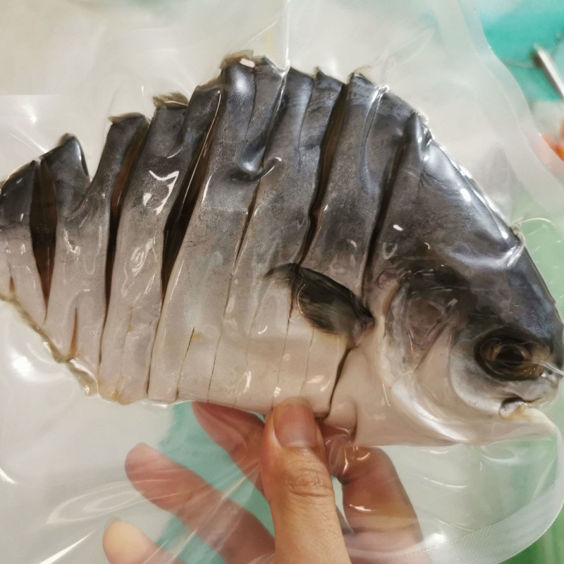 특대형 건어물 5마리 [1장 0.35-0.4kg ] 높은 가성비