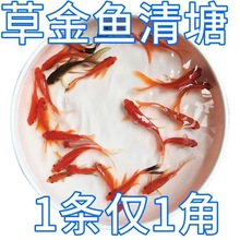 ��ˮ�ݽ��^�p�~С���~���B�ͻ�С�~�B�����ԁ�ˮ���~�\�������ȫ