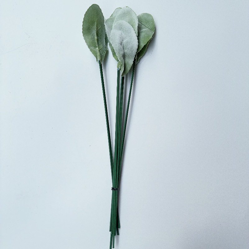 단일 양 귀 잎 단일 조각