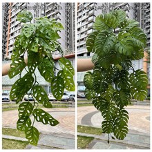 �¿���������~�ڒ�@�־��^ܛ�b �ɶ������~�ڒ� ��c��ˇ�ٻ���