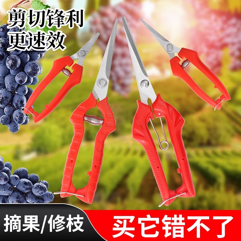 【新人立减5元】园艺剪刀修枝剪剪果蔬果树摘果剪园林摘果剪刀