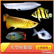 �𴬽����_�h�Ꭷ�^�p�~�W�^�~�~�t���~wlb��ˮ����؈���~�؈D�~