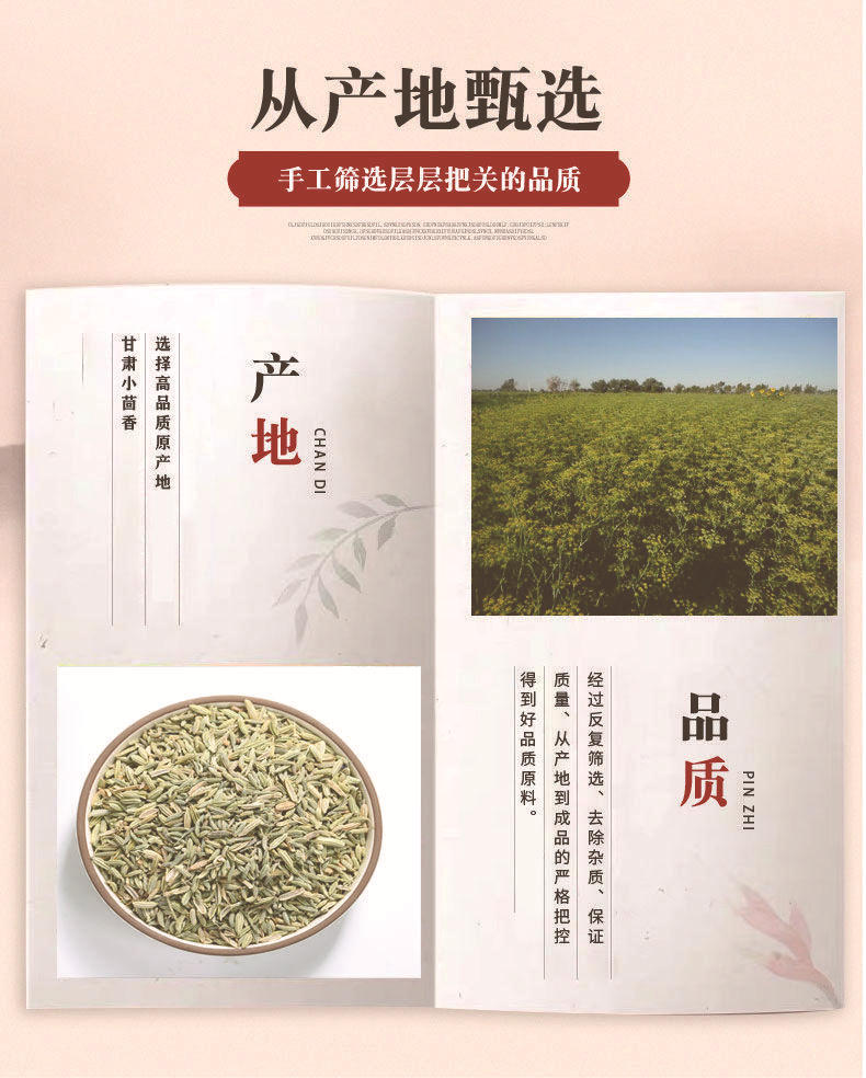 Fennel Seed Xiao Hui Xiang Dried Herb Natural Sun Dried Culinary Spice and Traditional Herbal Use 100g key features