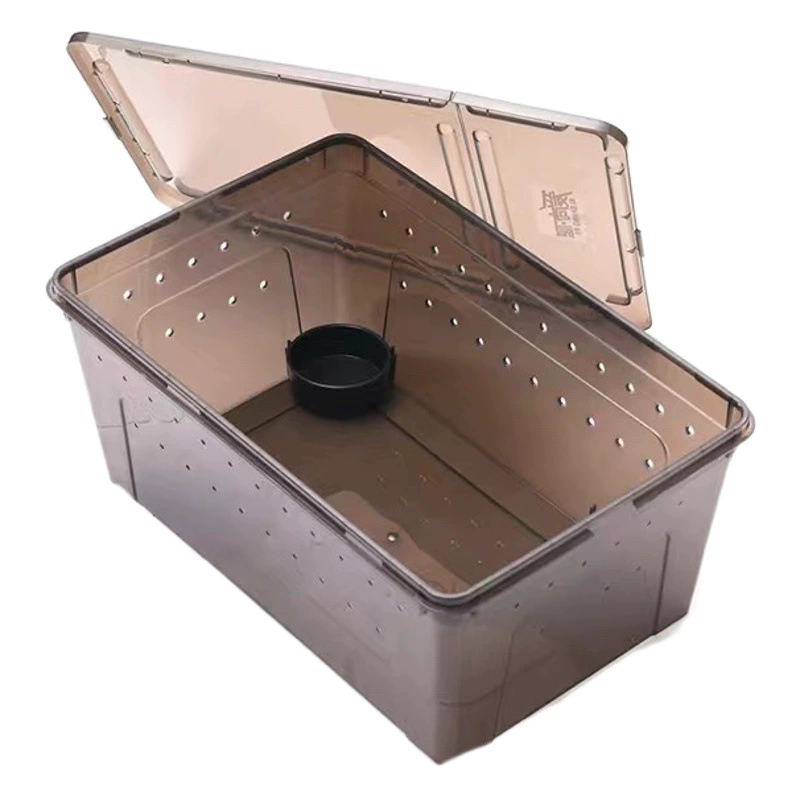 Ящик для кормления рептилий Альпинистский ящик для домашних животных Товары для гибернации Рогатая лягушка Шелкопряд Детская многоножка Шугонг Улитка Паук Живая черепаха Танк