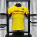 Player edition 2425 america home