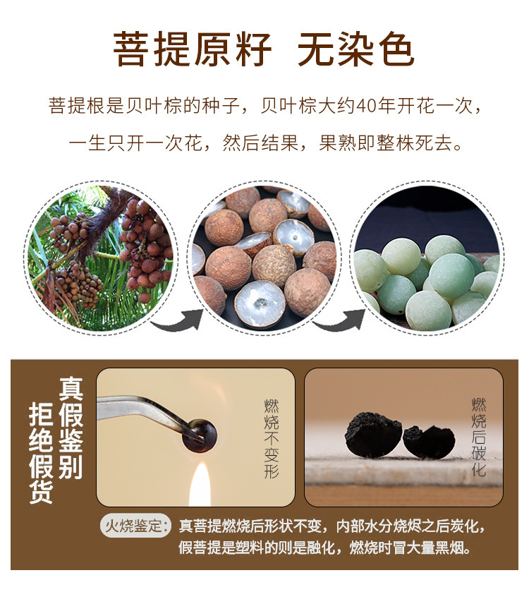 一键复制_20230216145531