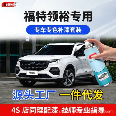 Ford, Lingyu, Buguang, and Haoyue white, Nebula purple car paint touch-up pens, silver sand black spray paint for repairing car paint scratches