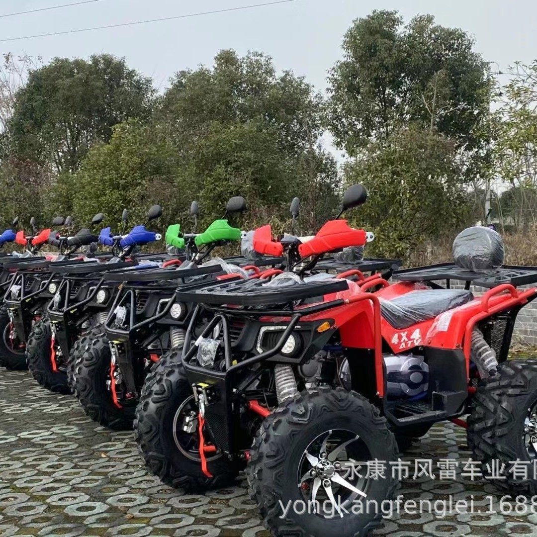 Cuatrimoto Todoterreno 4x4 con Suspensión Independiente 350cc de Hierro y Plástico