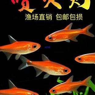 �����С���~�Ꭷ�~��ˮ���~�����~�ݸ��~Ⱥ�Ό�����w���]����