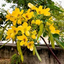 ���l�S�����N�� �S���Q�� ���P�䶹����ș��N�����󃞻ݸ߳�ѿ��