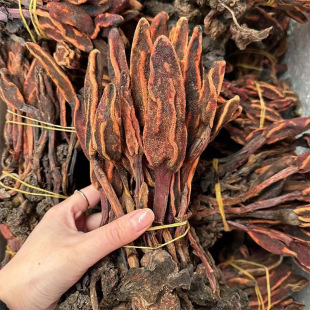 ��ϻش�����؛��؛�ش�����ș�����l���ϲ������ݾ��������؛