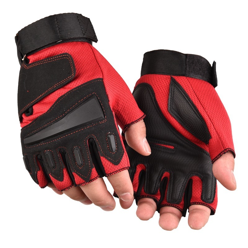 컬러 이글 레드