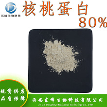 食品原料80%核桃蛋白 核桃蛋白粉现货供应核桃提取物包邮核桃蛋白