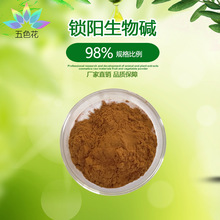 锁阳生物碱98% 锁阳提取物 五色花生物直供 厂家直供 量大从优