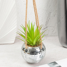 KҾb͏db粣ֲzӰ߼Ҿb