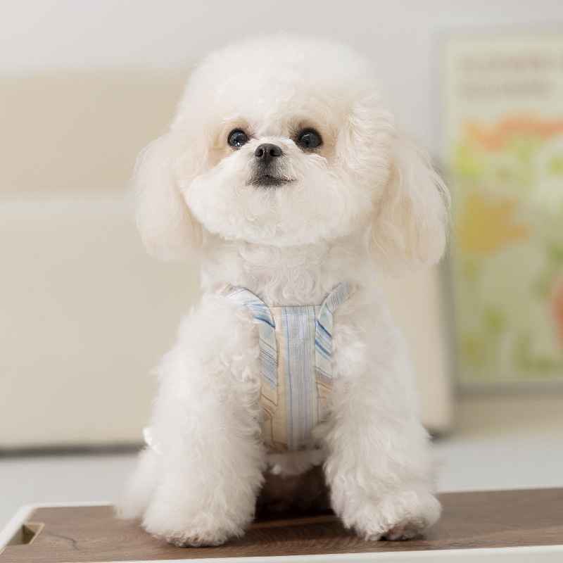 Primavera y verano perros arco de hoja de loto princesa viento vestido pequeño perro rayado gato vestido de mascota