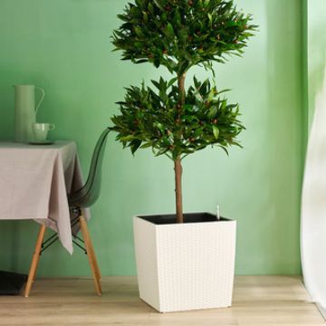 Suministro directo de fábrica automática de absorción de agua maceta extra grande pintura cuadrada sala de estar planta verde automática de absorción de agua maceta al por mayor