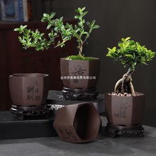 ɰ}؃rбP辰mСŘGֲշ