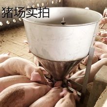 育肥猪干湿下料器采食槽猪槽养猪设备兽用圆形不锈钢猪食槽颗粒