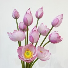 荷花仿真花新中式莲花花束客厅佛前供花落地摆件高档假花花束道具