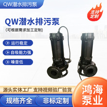 QW潜水排污泵 污水管道提升泵 大口径潜水泵QWB防爆潜污泵工厂