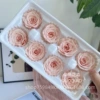 4-5CM box of champagne powder