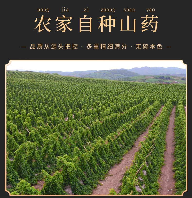 Dried Chinese Yam Slices Huai Shan Yao 500g Henan Jiaozuo Tiegun Huai Shan Sugar-Free Dried Slices for Soup Congee and Herbal Tea in use