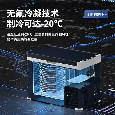 Soyuducular, 30/40/50L Compressor Car Refrigerator