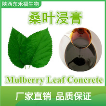 ɣ~ȡMulberry Leaf Concrete ɣ~ ɣ~Sͪ ɣ~