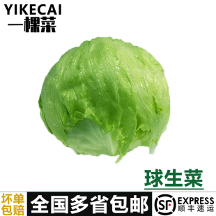 ɳ���߲˽M��3.5�� �����˿�����r����b����ɳ�������pʳ�߲�
