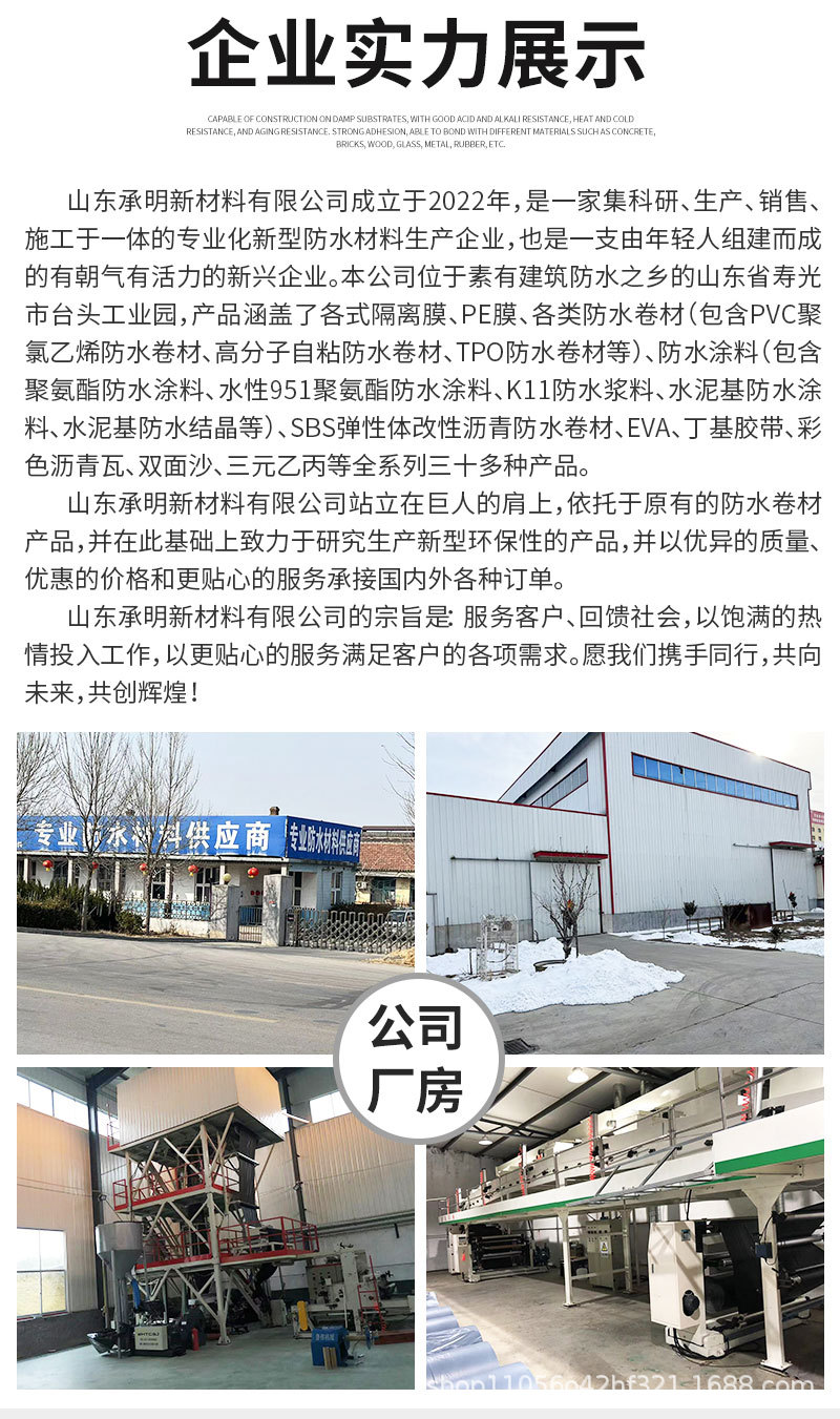 K11防水涂料_12.jpg