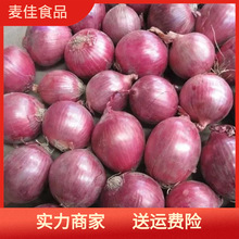 新貨黃紫小圓蔥小洋蔥農家自種山東蔥非小毛蔥頭洋蔥普通洋蔥其他