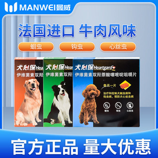 Ȯ�ı���������ζ���������w���w�⌙����xș�������xș����