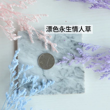 diyƯɫ˲ݲֹɻYbsҾܛb