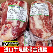 龟腱带金钱腱 牛腱子带腱心冷冻进口牛龟腱卤牛肉商用