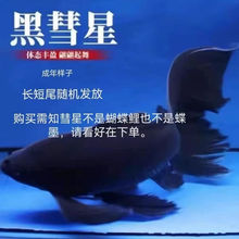 �����ǲݽ����С�~�ڲ��լ���~��ؔ���~��ؔ��ˮ�^�p�~�L��β