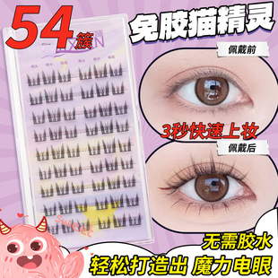 ���z؈���`�ٽ�ë����ж��ճ���ֆδ�؈ϵ��β