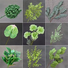 �Gɫϵ���滨�b�Y�û��đ��⻨�Gֲ��ꐲ���ɢβ��ɭϵ��c